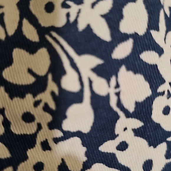 Lands End Blue & White Pull-on Shorts Elastic waist missing Size tag waist 17" - Picture 2 of 6